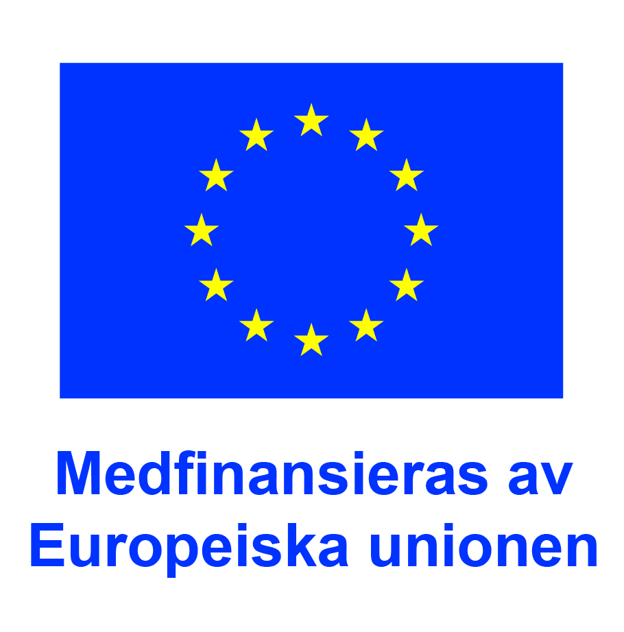 Medfinansieras av Europeiska unionen, logotyp